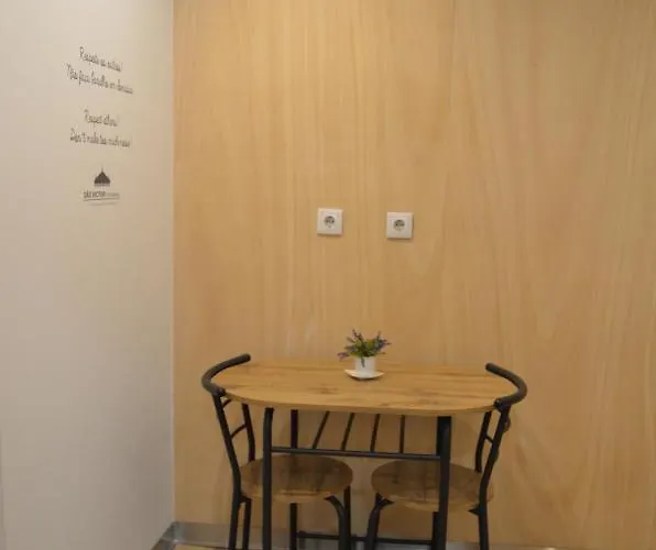 Sao Victor Historic Center 公寓