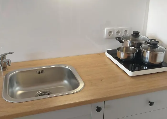 公寓 Sao Victor Historic Center *